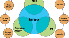 Waldron article Figure 1 from the November 2025 issue of Practical Neurology