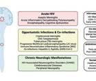 An Overview of Neurologic Complications of HIV and Opportunistic Infections