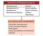 Neuromuscular Notes Rhabdomyolysis