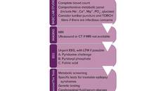 Epilepsy Essentials Metabolic Causes of Neonatal Seizures