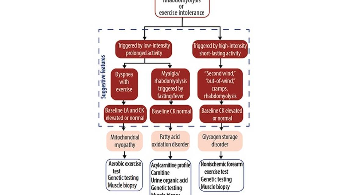 Neuromuscular Notes Diagnosing Metabolic Myopathies