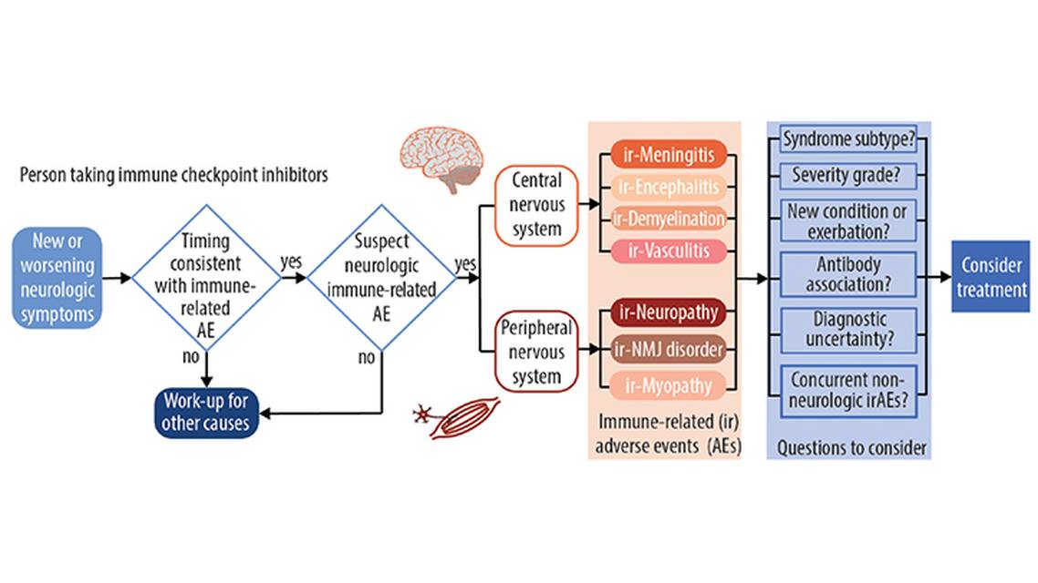 Immune Checkpoint Inhibitor Neuromuscular Complications