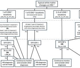 Radiologic Differential Diagnosis of Multiple Sclerosis - Practical ...