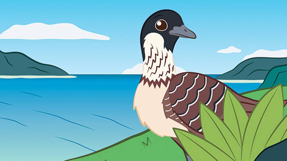 Epilepsy Essentials Seizure Detection and Prediction