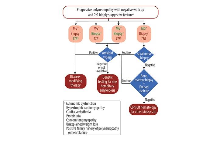 Neuromuscular Amyloidosis