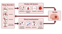 The Bidirectional Relationship Between Sleep Disorders and Stroke