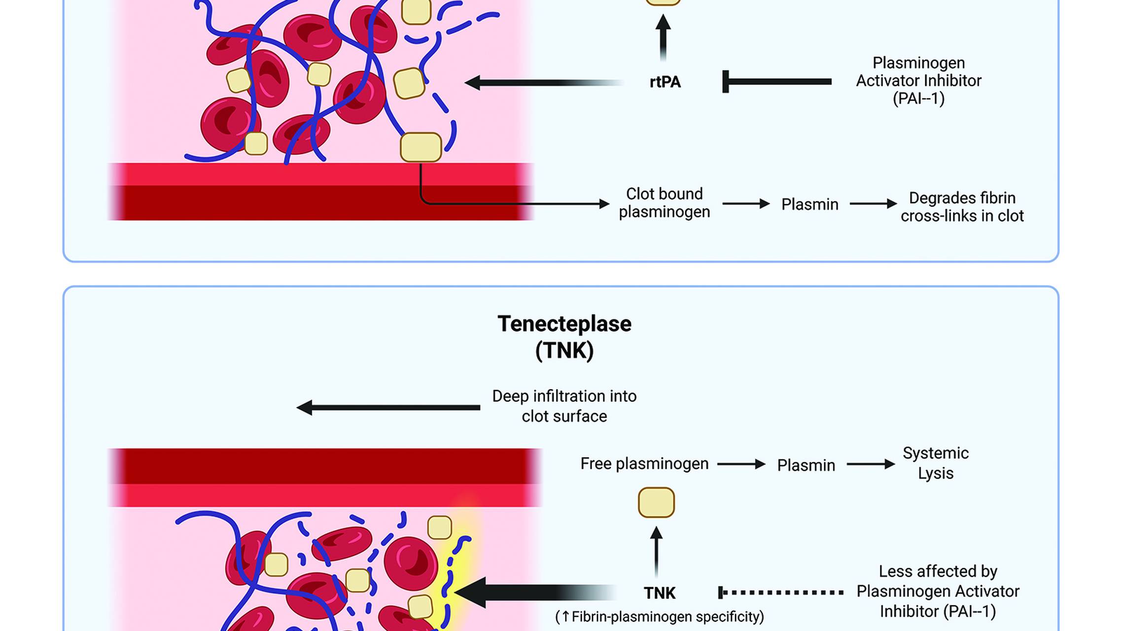Tenecteplase and the Future of Thrombolytics