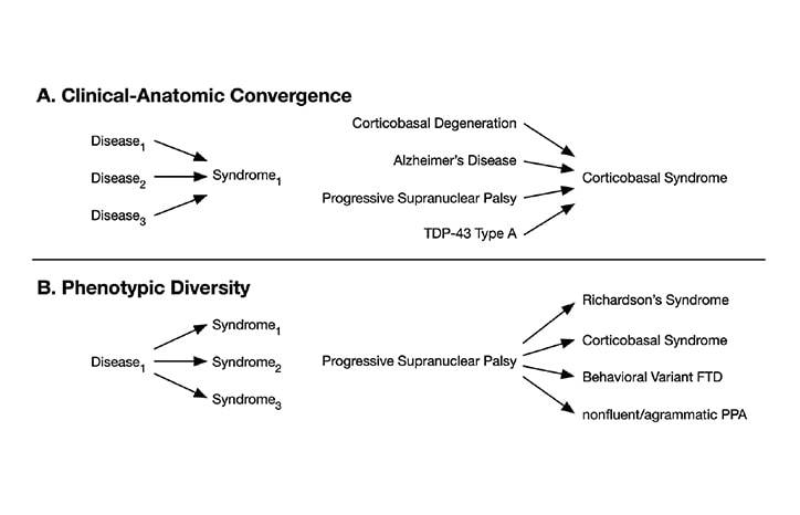 A Precision Medicine Approach to Dementia Care Syndrome Etiology and Copathology