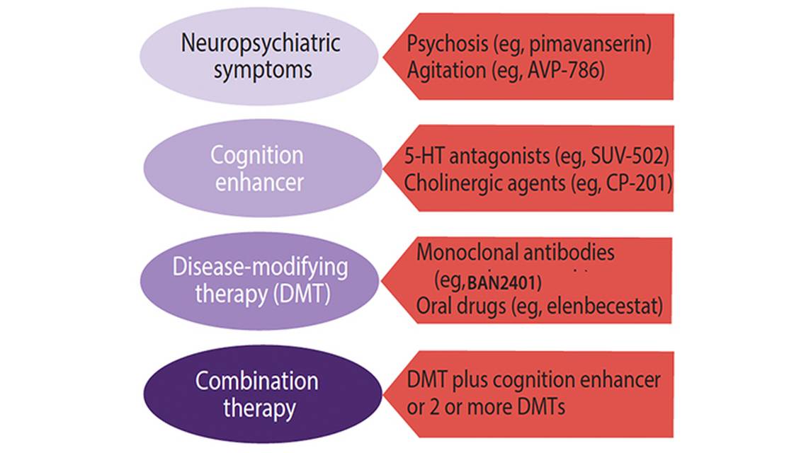 Alzheimers Disease Drug Development and Emerging Therapies