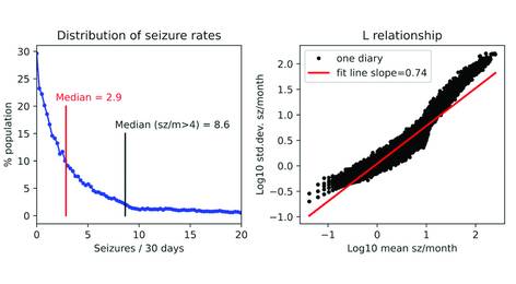 Scheldon Score The Diagnosis of Functional Seizures
