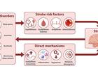 The Bidirectional Relationship Between Sleep Disorders and Stroke