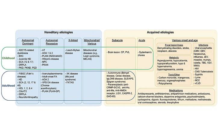 Clinical Approach to the Diagnostic Evaluation of Chorea