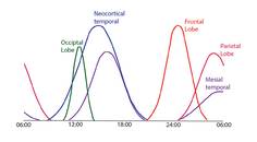 Epilepsy Essentials Chronobiology of Epilepsy