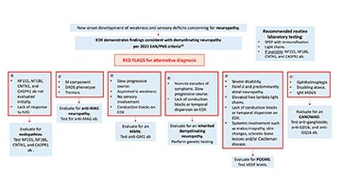 Diagnosis of Chronic Inflammatory Demyelinating Polyneuropathy