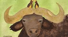 PN0525 Cover