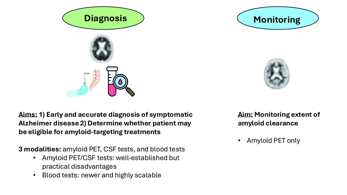 Figure from Hofmann and Schindler depicting the relevance of different AD biomarker modalities for diagnosis and monitoring