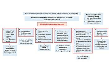 Diagnosis of Chronic Inflammatory Demyelinating Polyneuropathy