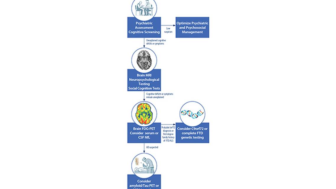 Clinical Use of Dementia Biomarkers to Evaluate Cognitive Deficits in People With Primary Psychiatric Disorders