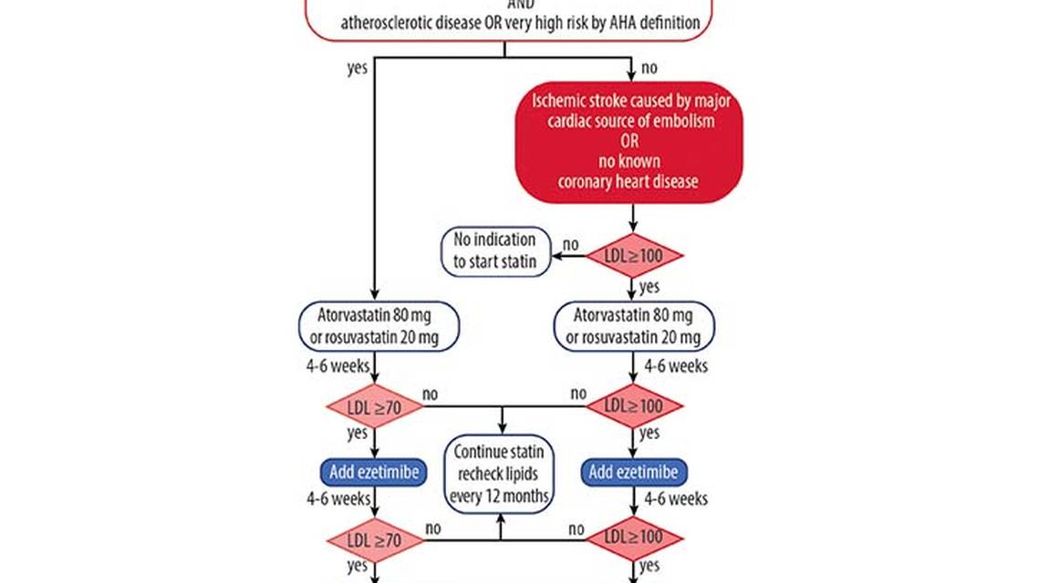 Lipid Management and Smoking Cessation
