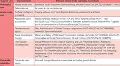 Stroke Snapshot Acute Ischemic Stroke