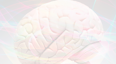 Posterior Reversible Encephalopathy Syndrome PRES A Case Report and Review of the Literature
