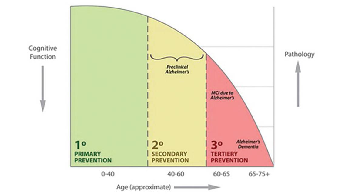 Brain Health and Dementia Risk Reduction