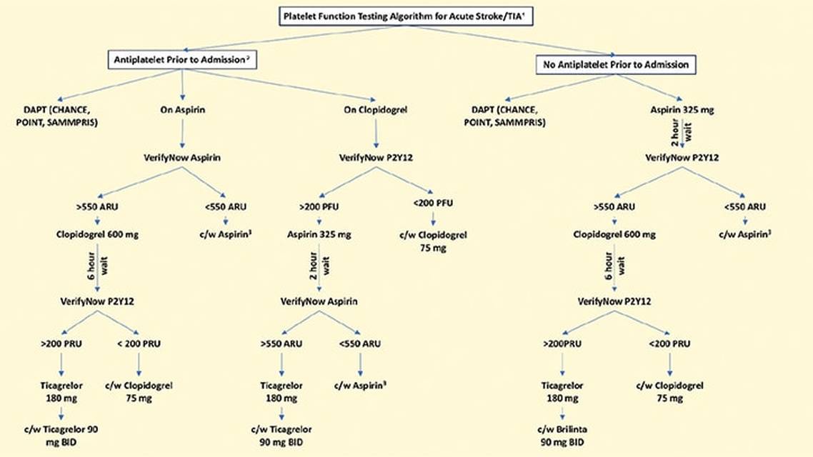 Stroke Snapshot Platelet Function Testing in Ischemic Stroke and Transient Ischemic Attack