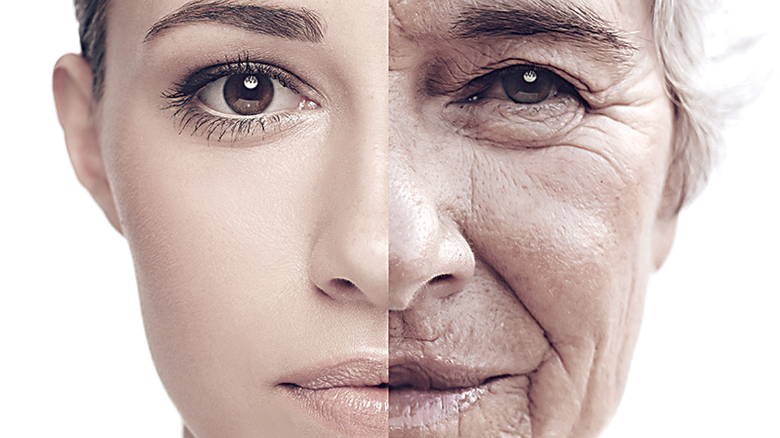 Telemedicine Outcomes and Performance The Next Phase in Stroke Care