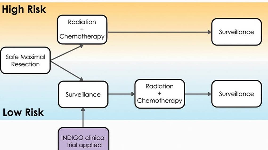 Neuro Oncology Outlook Advancements in Targeted Molecular Therapy for Low Grade GliomasChallenging the Treatment Paradigm