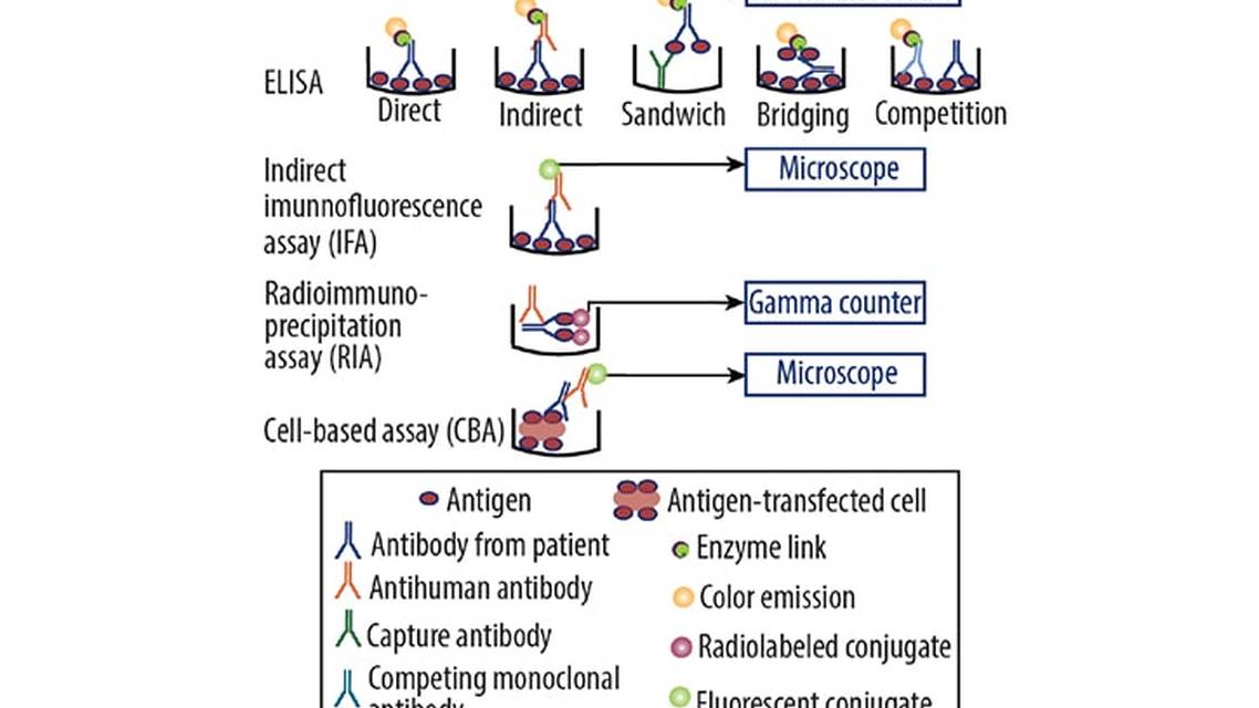 Utility of Autoantibody Profiles