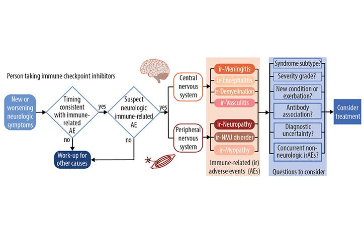 Immune Checkpoint Inhibitor Neuromuscular Complications