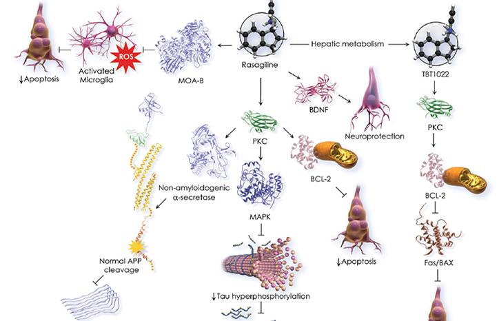 Novel Treatments for Alzheimer Disease Disorders