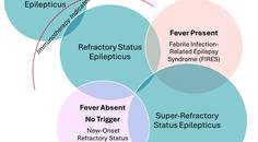 Figure 2 from the Santoro et al article from the Practical Neurology November 2025 issue