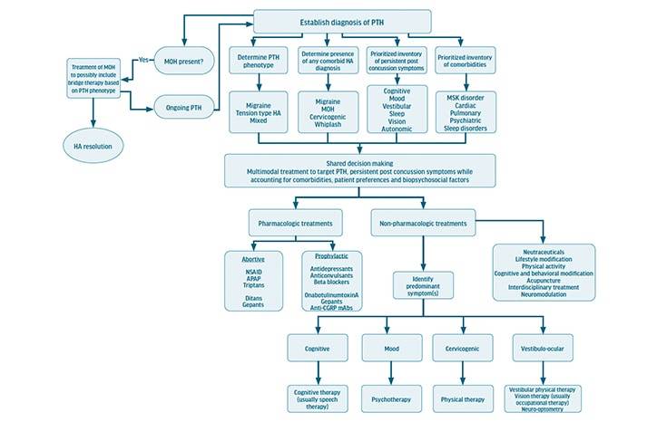 Posttraumatic Headache A Comprehensive Approach