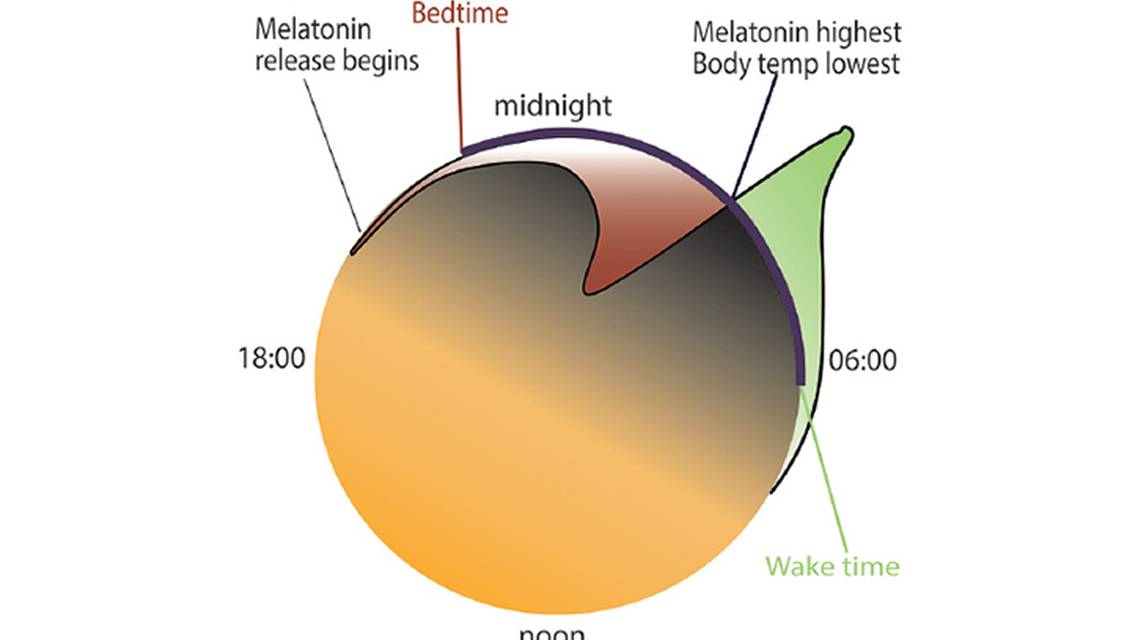 Sleep and Neurodegenerative Disease