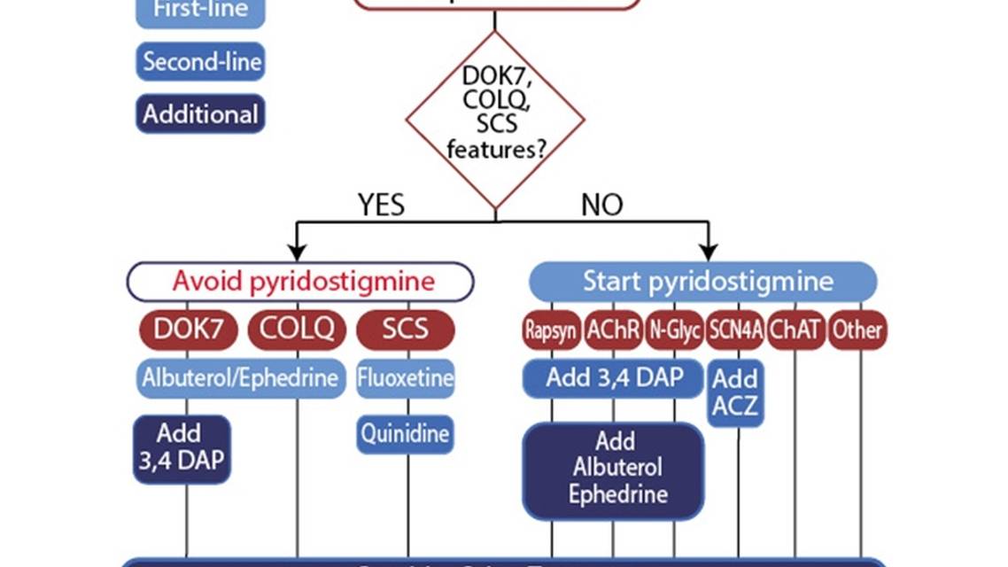 Congenital Myasthenic Syndrome Treatment