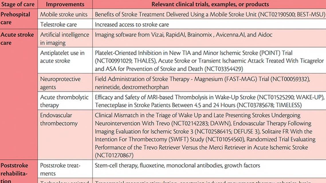 Stroke Snapshot Acute Ischemic Stroke