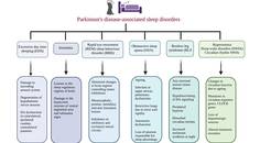 Unraveling the Impact of Environmental Factors on Sleep Quality and Parkinson Disease