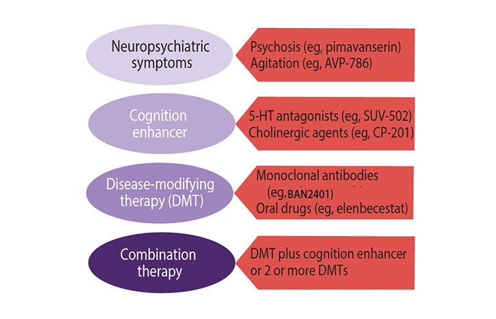 Alzheimers Disease Drug Development and Emerging Therapies