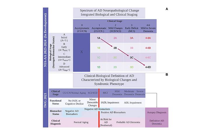 Blood Based Biomarkers in Alzheimer Disease Clinical Implementation and Limitations