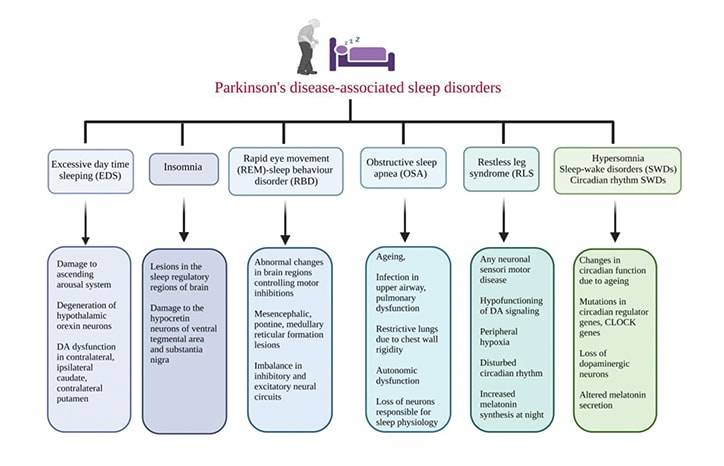 Unraveling the Impact of Environmental Factors on Sleep Quality and Parkinson Disease