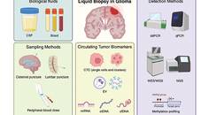 Circulating Biomarkers in Diffuse Gliomas Current Landscape and Future Directions