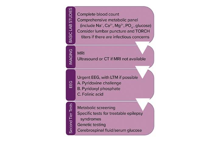 Epilepsy Essentials Metabolic Causes of Neonatal Seizures