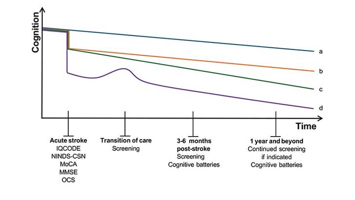 Poststroke Cognitive Impairment and Dementia