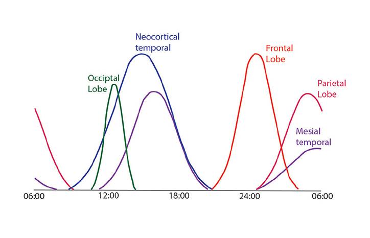 Epilepsy Essentials Chronobiology of Epilepsy