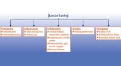 Multiple Sclerosis Minute Physical Activity and MS