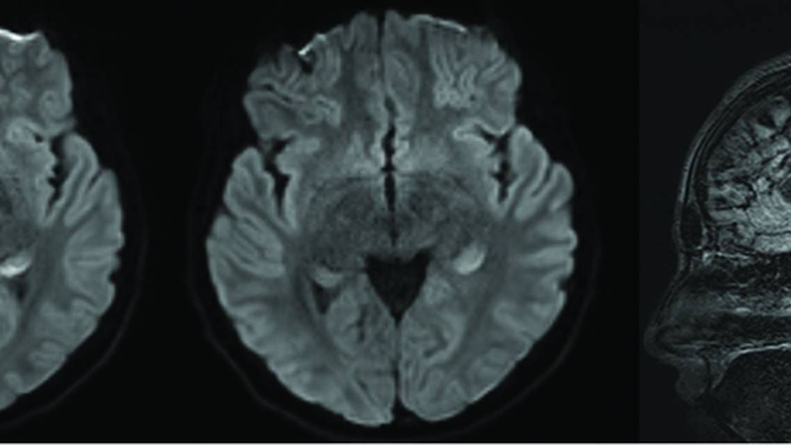 Maranto et al Figure 3