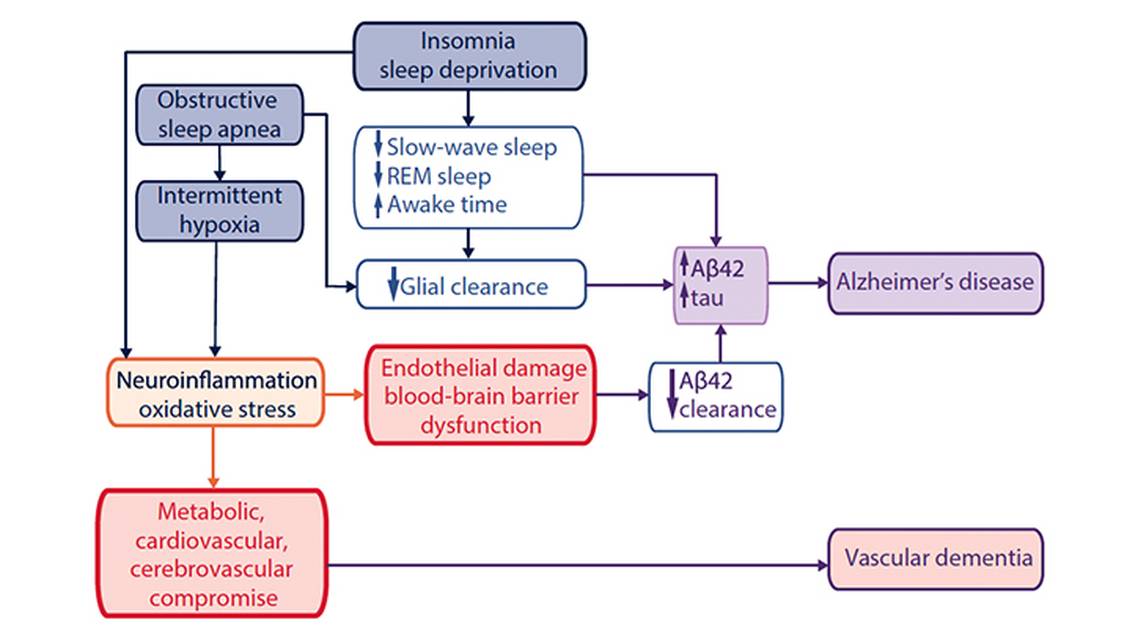Sleep Disorders and Dementia