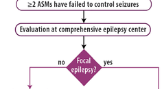 Epilepsy Essentials Neuromodulation for Drug Resistant Epilepsy