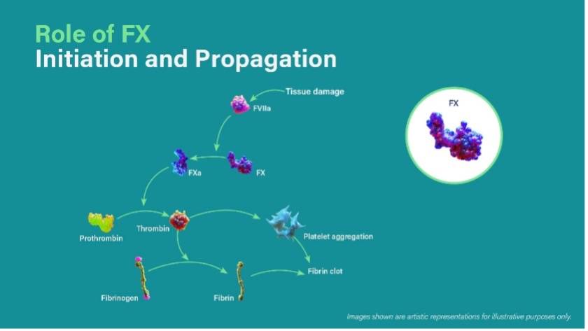 Role of FX Propagation